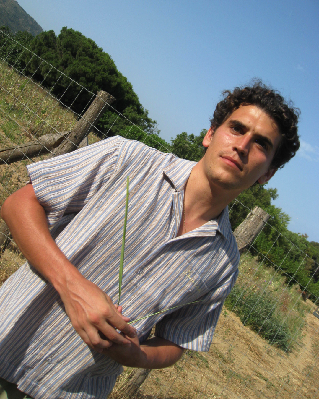 BERRY - Camisa manga corta