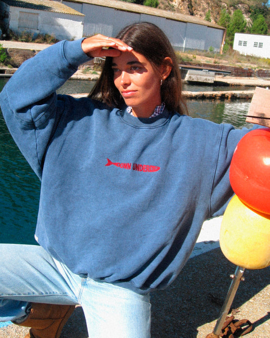 PRE VENTA!! Envíos 20.11 // SEASIDE - Oversized Washed Sweatshirt